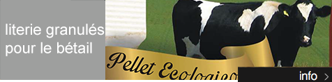 Pellet per lettiere Bovini - Gruppo Marchionni