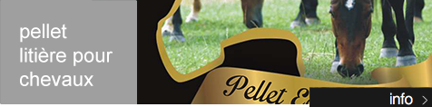 Pellet per lettiere Cavalli - Gruppo Marchionni