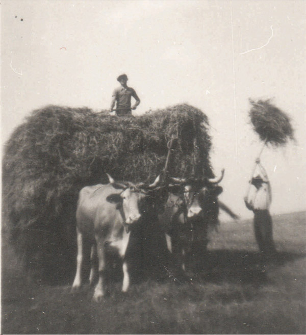 Chi Siamo - Gruppo Marchionni